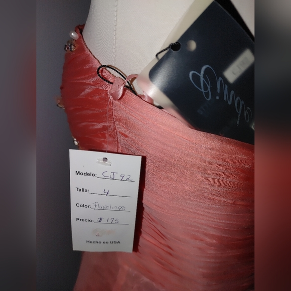 Flamingo/Mint Dress / Quinceañera Dress / Prom Dress / Ball Gown - Picture 5 of 5